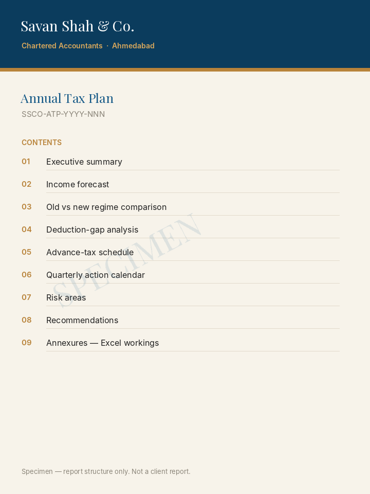 Annual Tax Plan — report structure (specimen)